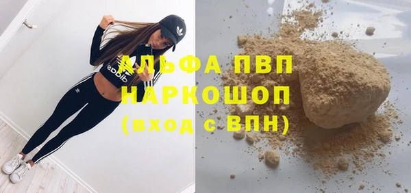 ПСИЛОЦИБИНОВЫЕ ГРИБЫ Коряжма