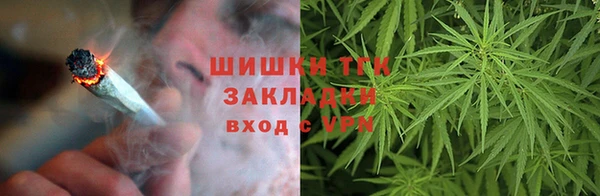 ПСИЛОЦИБИНОВЫЕ ГРИБЫ Коряжма