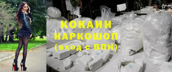 твердый Ельня