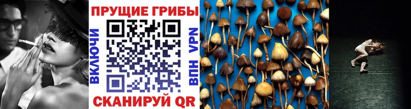 Псилоцибиновые грибы Cubensis  блэк спрут ССЫЛКА  Воскресенск  где купить наркотик 