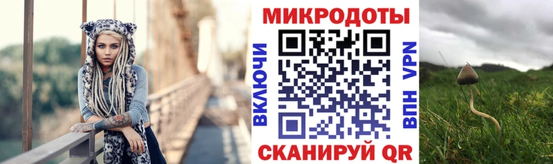 Псилоцибиновые грибы Cubensis Воскресенск